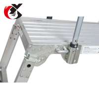 Hot Sell En131 Aluminum Adjustable Platform Ladder